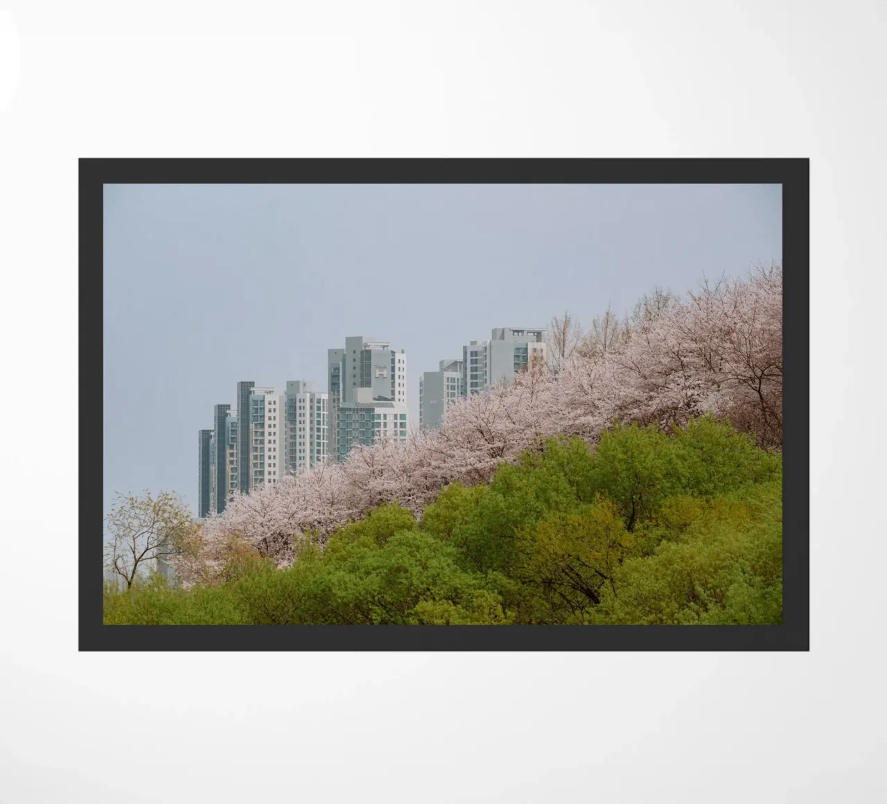 Strati di natura a Seul, Corea del Sud zerbino da mbgraphx2