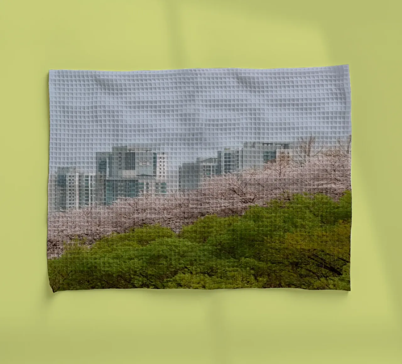 Strati di natura a Seul, Corea del Sud canovaccio da cucina da mbgraphx2