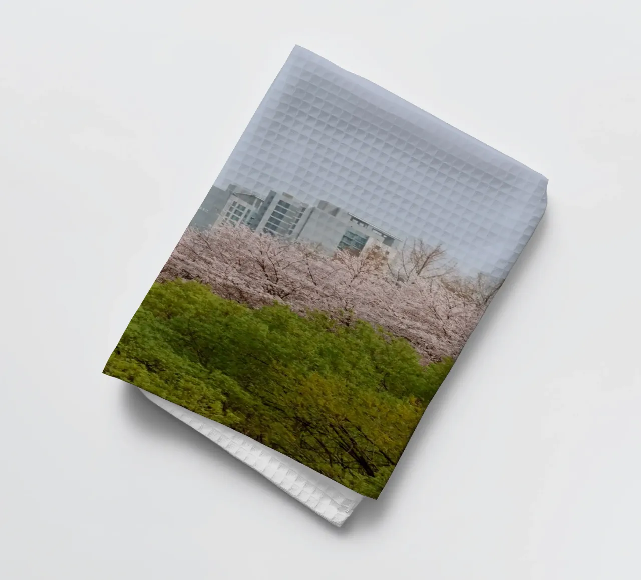 Strati di natura a Seul, Corea del Sud canovaccio da cucina da mbgraphx2