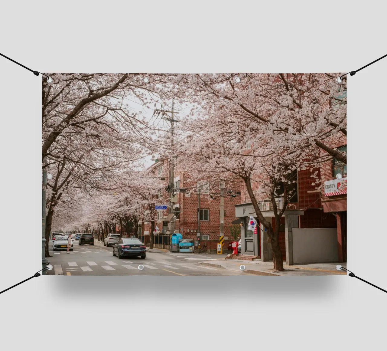 La strada dei ciliegi in fiore a Seul, Corea del Sud telo in pvc da mbgraphx2