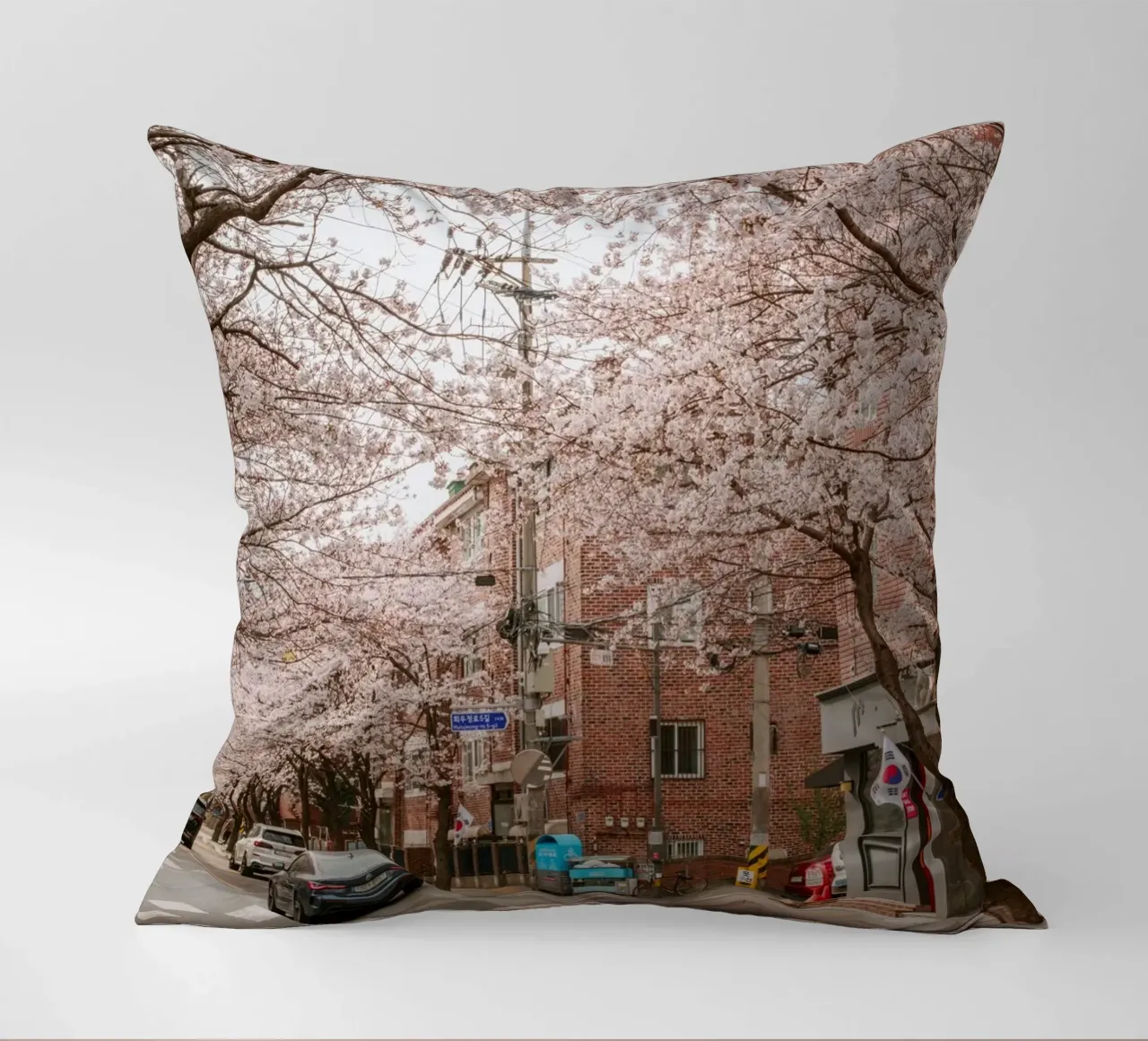 La strada dei ciliegi in fiore a Seul, Corea del Sud cuscino da mbgraphx2