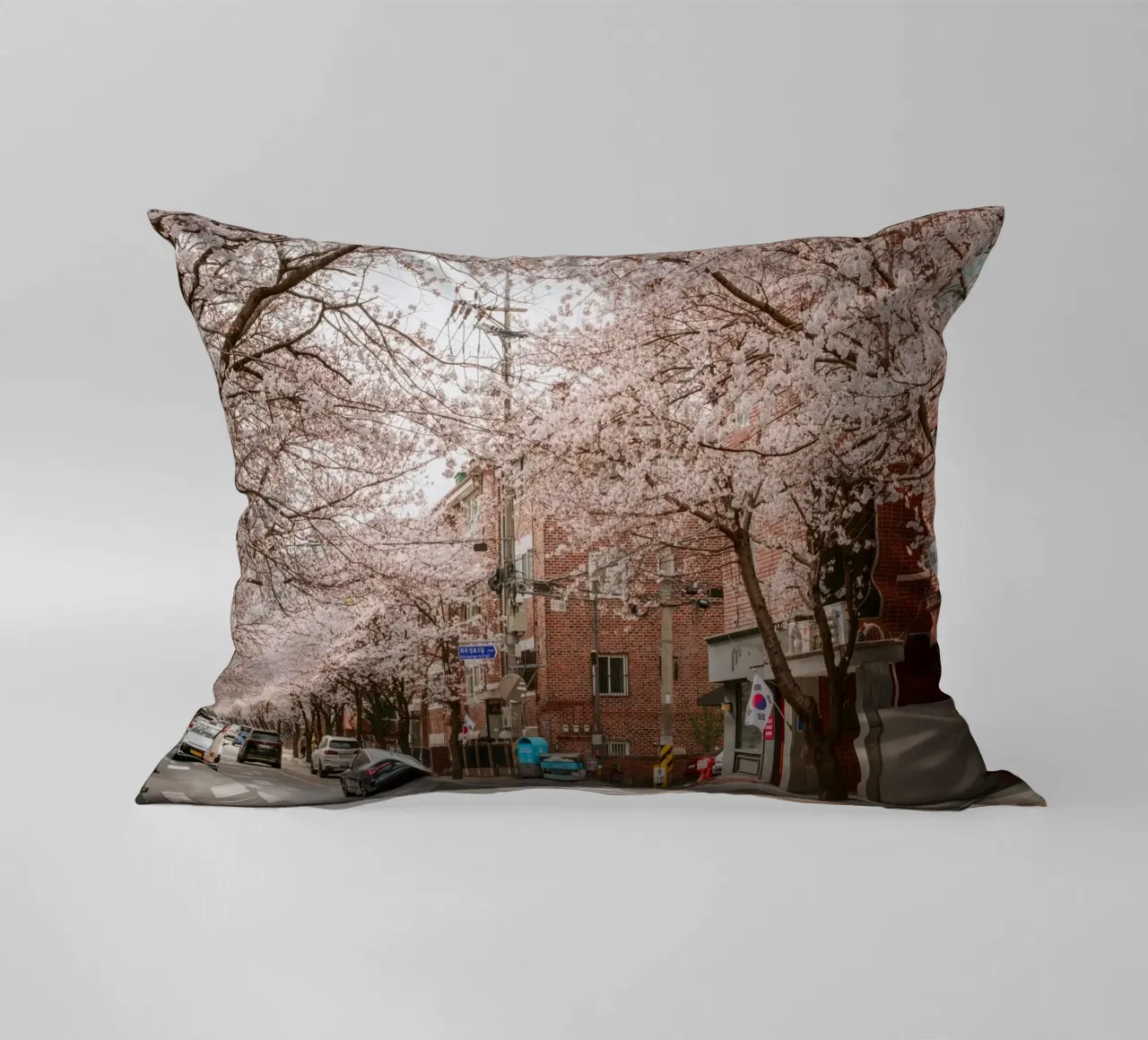 La strada dei ciliegi in fiore a Seul, Corea del Sud cuscino da mbgraphx2