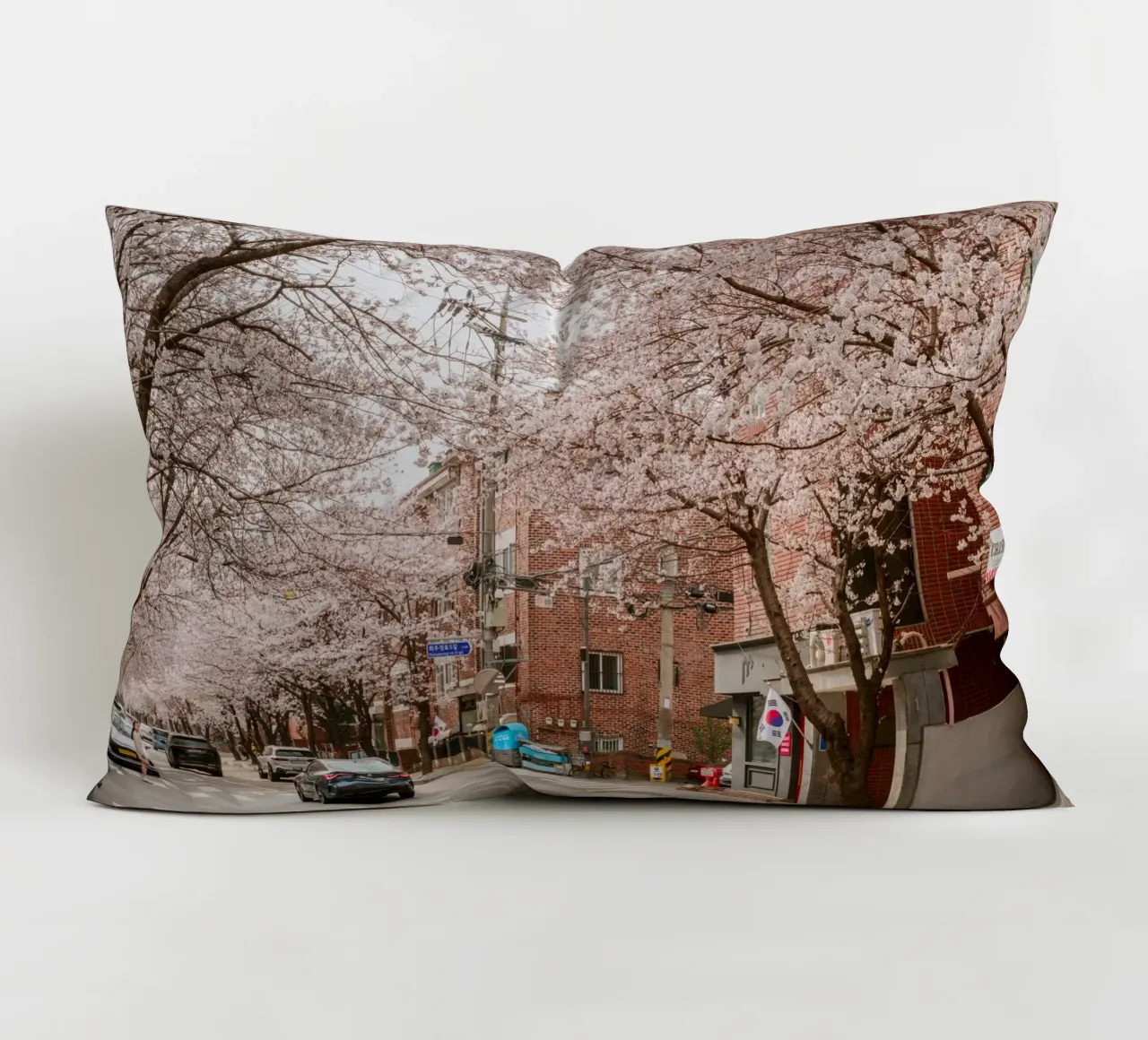 La strada dei ciliegi in fiore a Seul, Corea del Sud cuscino da mbgraphx2