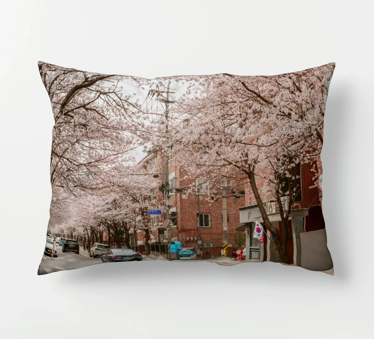 La strada dei ciliegi in fiore a Seul, Corea del Sud cuscino da mbgraphx2