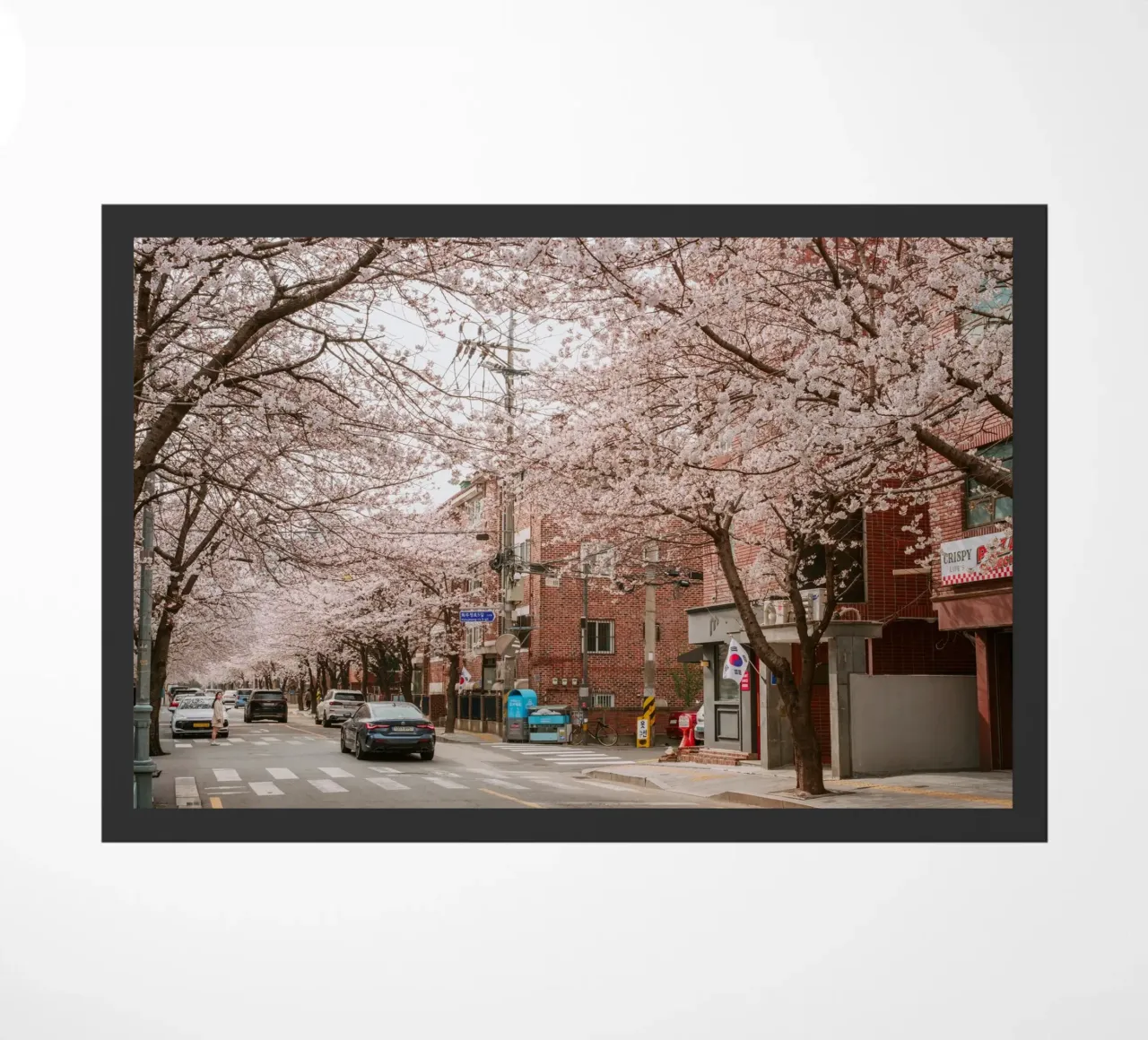 La strada dei ciliegi in fiore a Seul, Corea del Sud zerbino da mbgraphx2