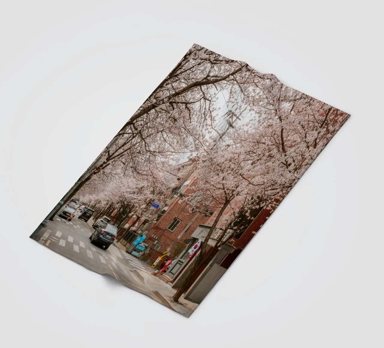 La strada dei ciliegi in fiore a Seul, Corea del Sud coperta in pile da mbgraphx2