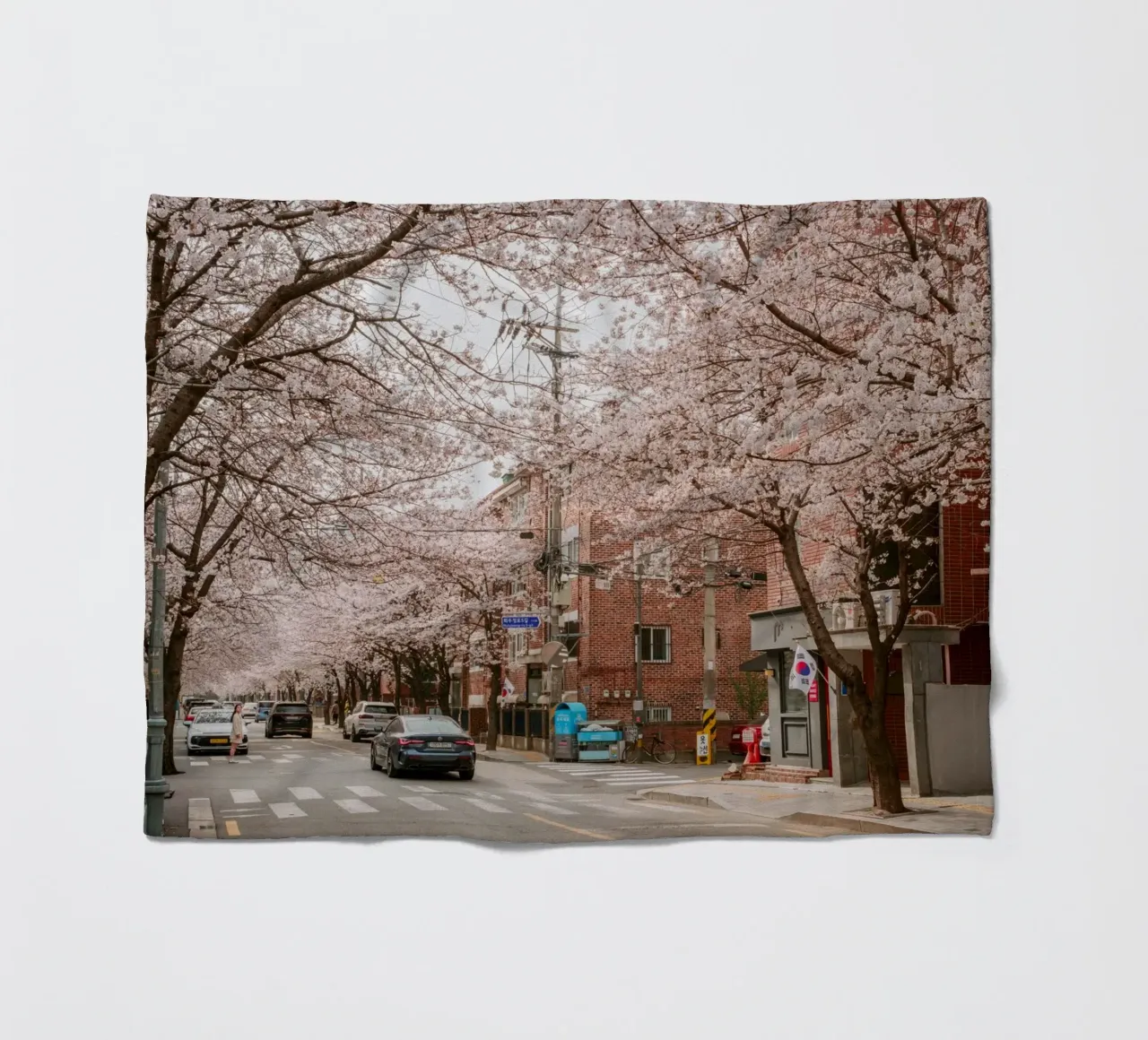 La strada dei ciliegi in fiore a Seul, Corea del Sud coperta in pile da mbgraphx2