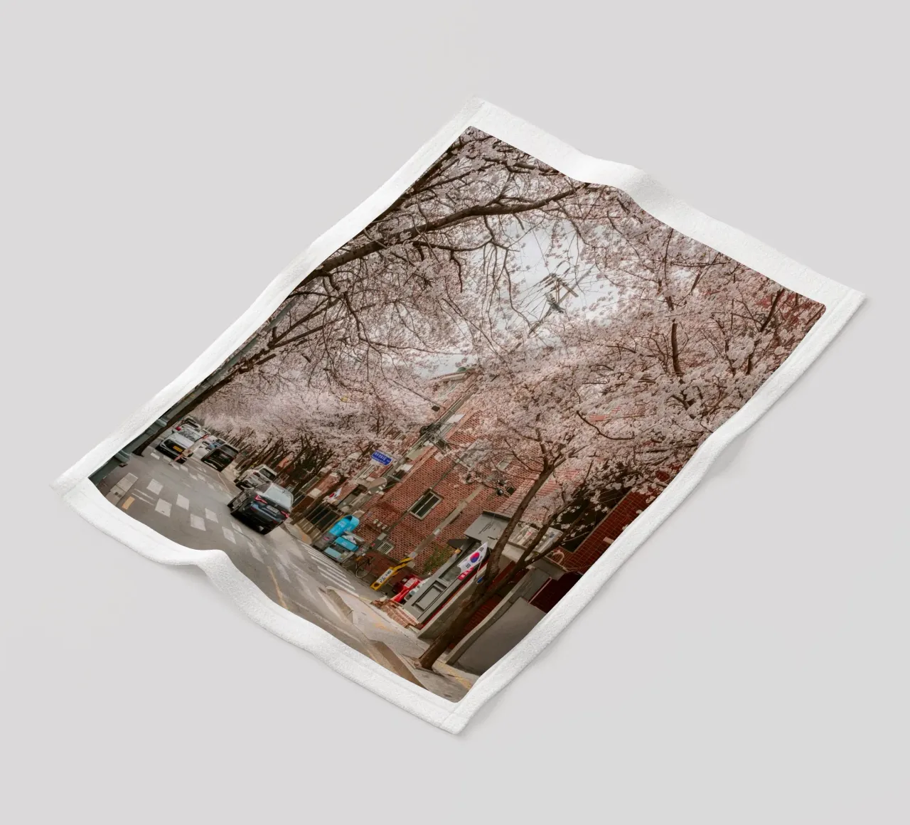 La strada dei ciliegi in fiore a Seul, Corea del Sud coperta in pile da mbgraphx2