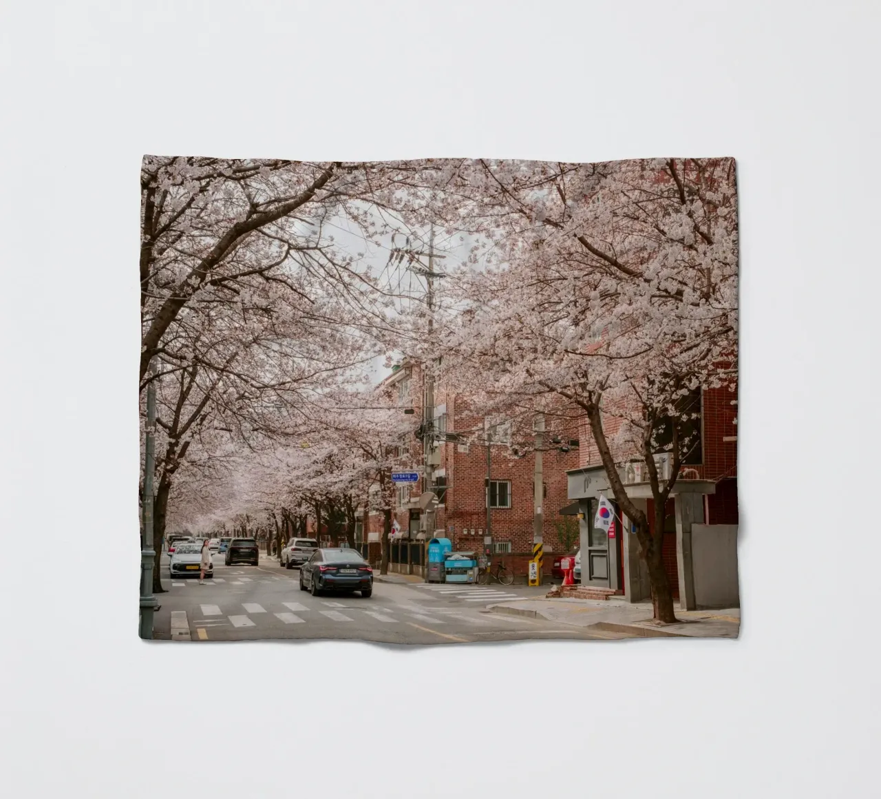 La strada dei ciliegi in fiore a Seul, Corea del Sud coperta in pile da mbgraphx2