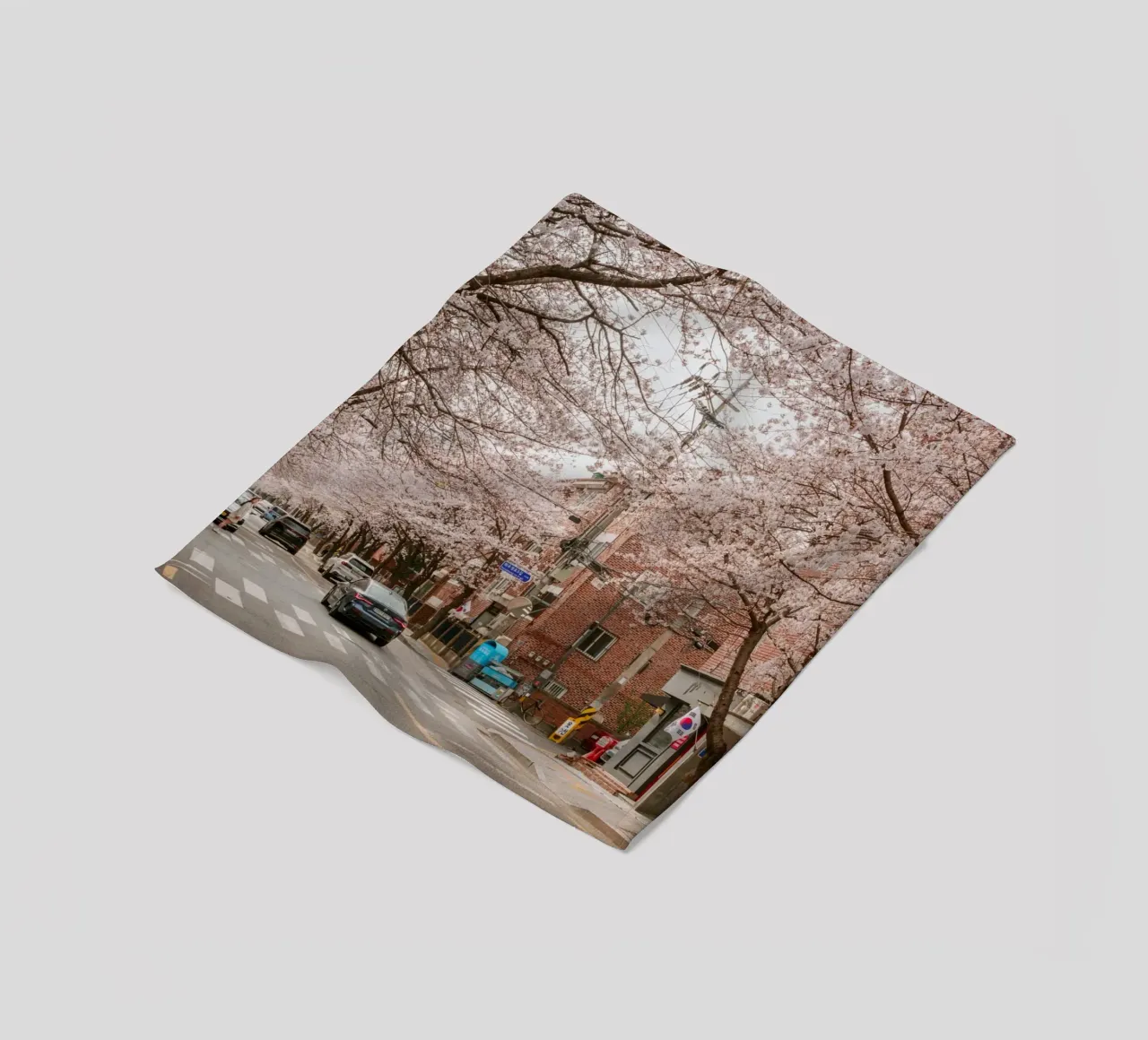 La strada dei ciliegi in fiore a Seul, Corea del Sud coperta in pile da mbgraphx2