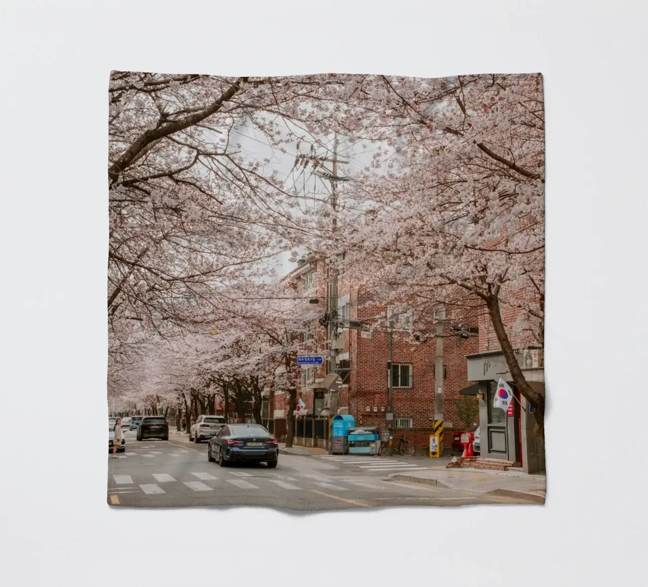 La strada dei ciliegi in fiore a Seul, Corea del Sud coperta in pile da mbgraphx2