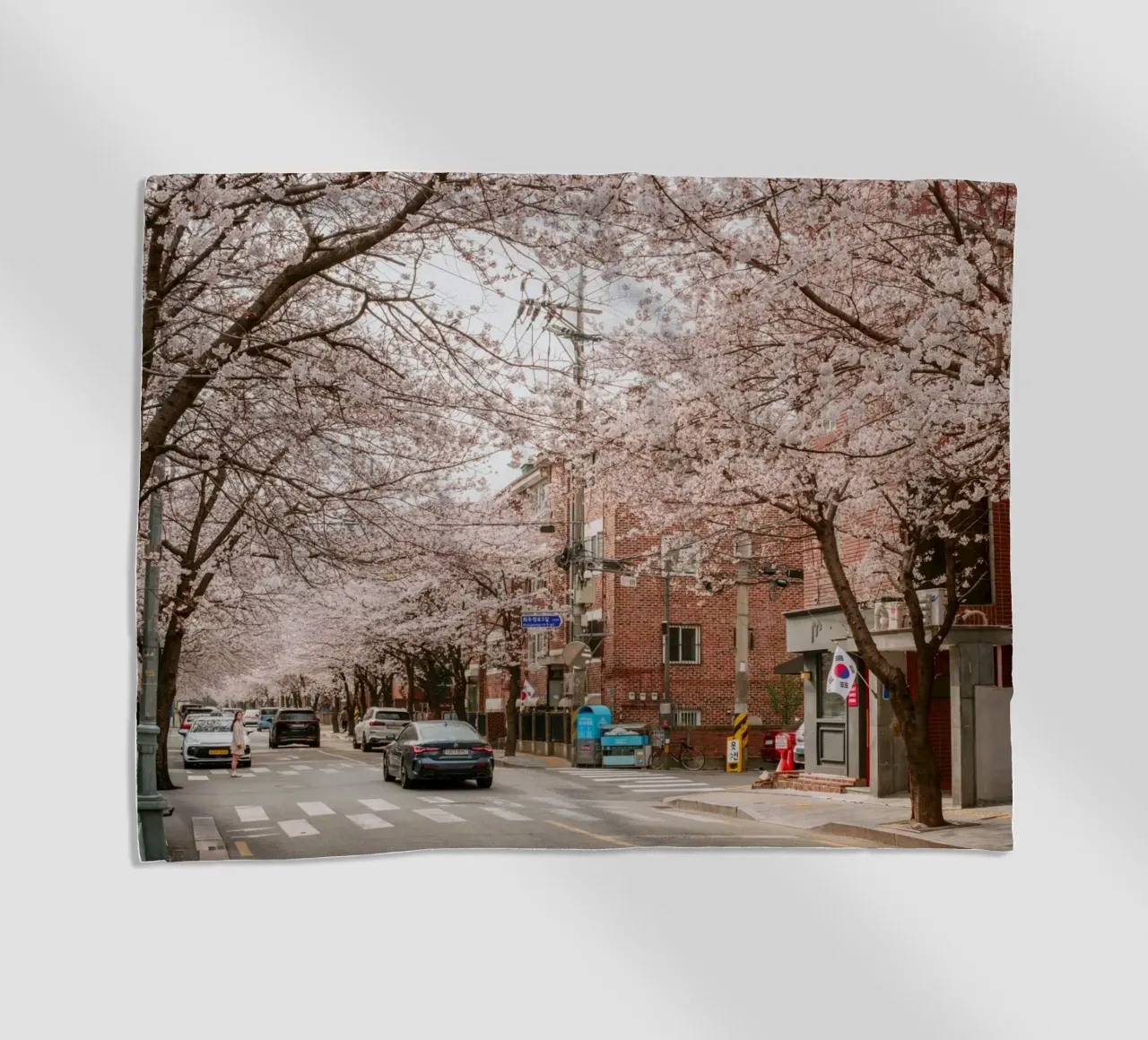 La strada dei ciliegi in fiore a Seul, Corea del Sud telo mare da mbgraphx2