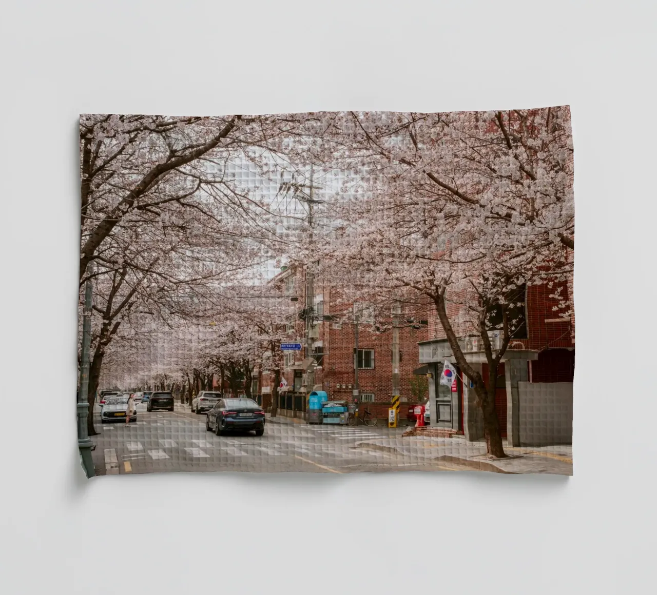 La strada dei ciliegi in fiore a Seul, Corea del Sud canovaccio da cucina da mbgraphx2