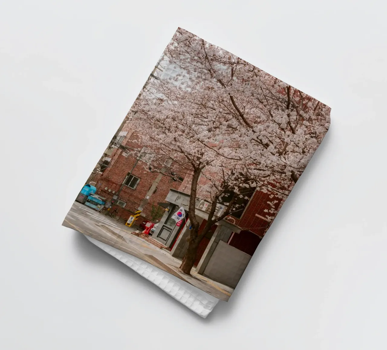 La strada dei ciliegi in fiore a Seul, Corea del Sud canovaccio da cucina da mbgraphx2