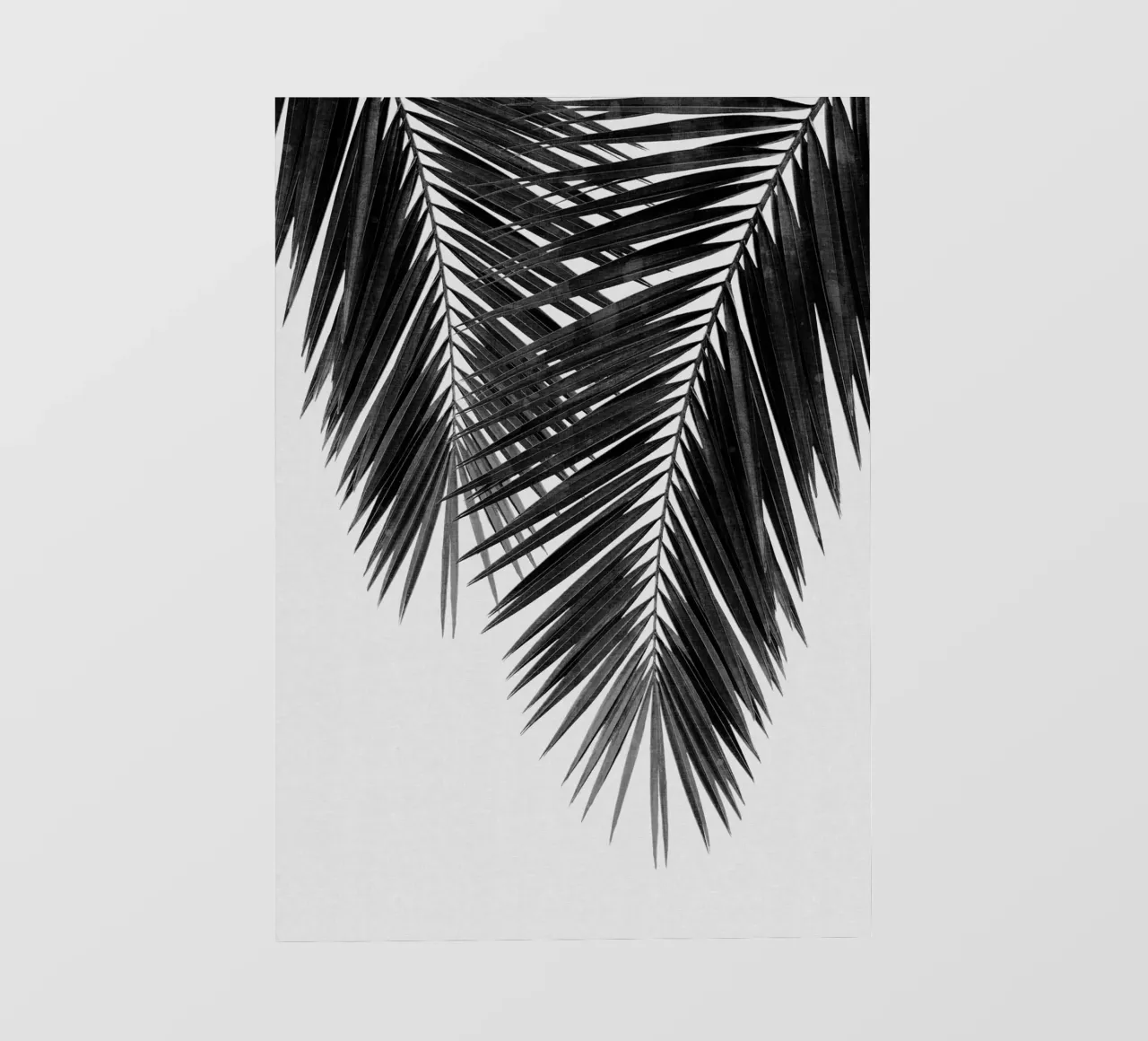Foglia di palma in bianco e nero II telo in pvc da Orara Studio