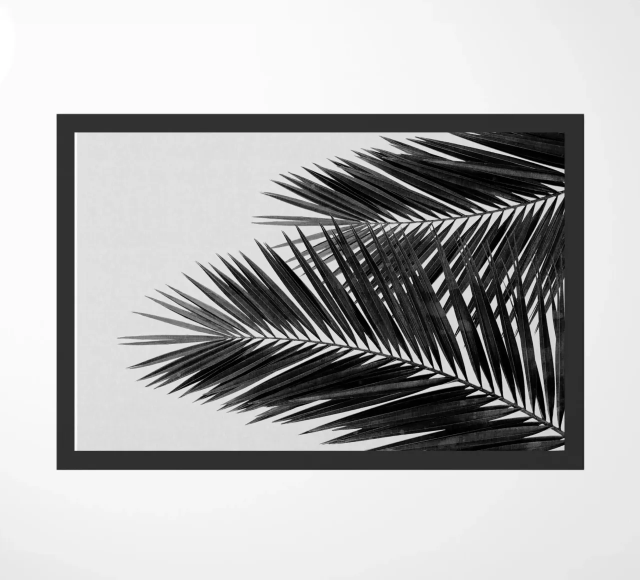 Foglia di palma in bianco e nero II zerbino da Orara Studio