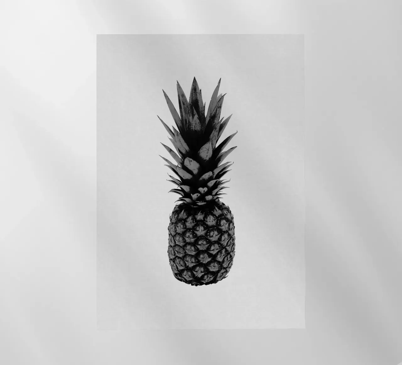 Ananas in bianco e nero pellicola backlit da Orara Studio