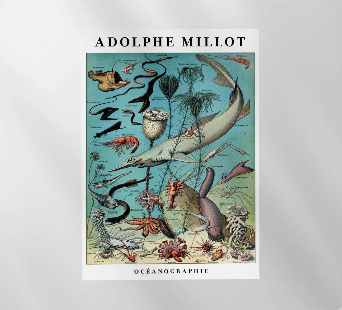 Oceanografia pellicola backlit da Rob Lewis