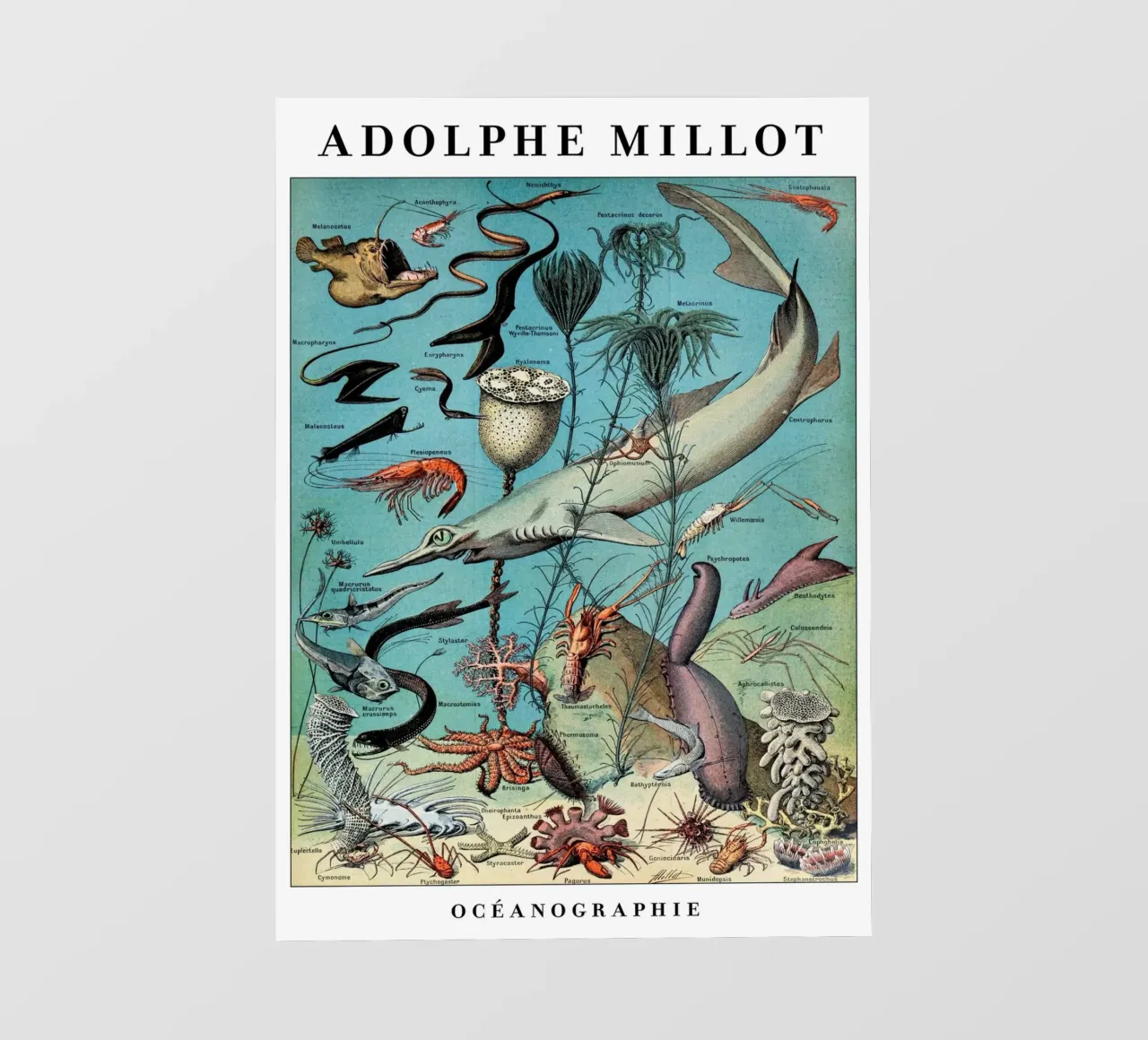 Oceanography pellicola backlit da Rob Lewis