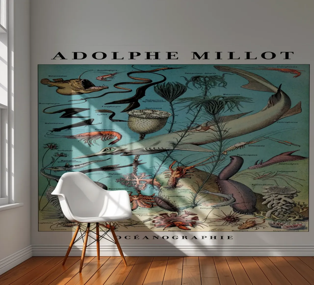 Oceanography fotobehang van Rob Lewis