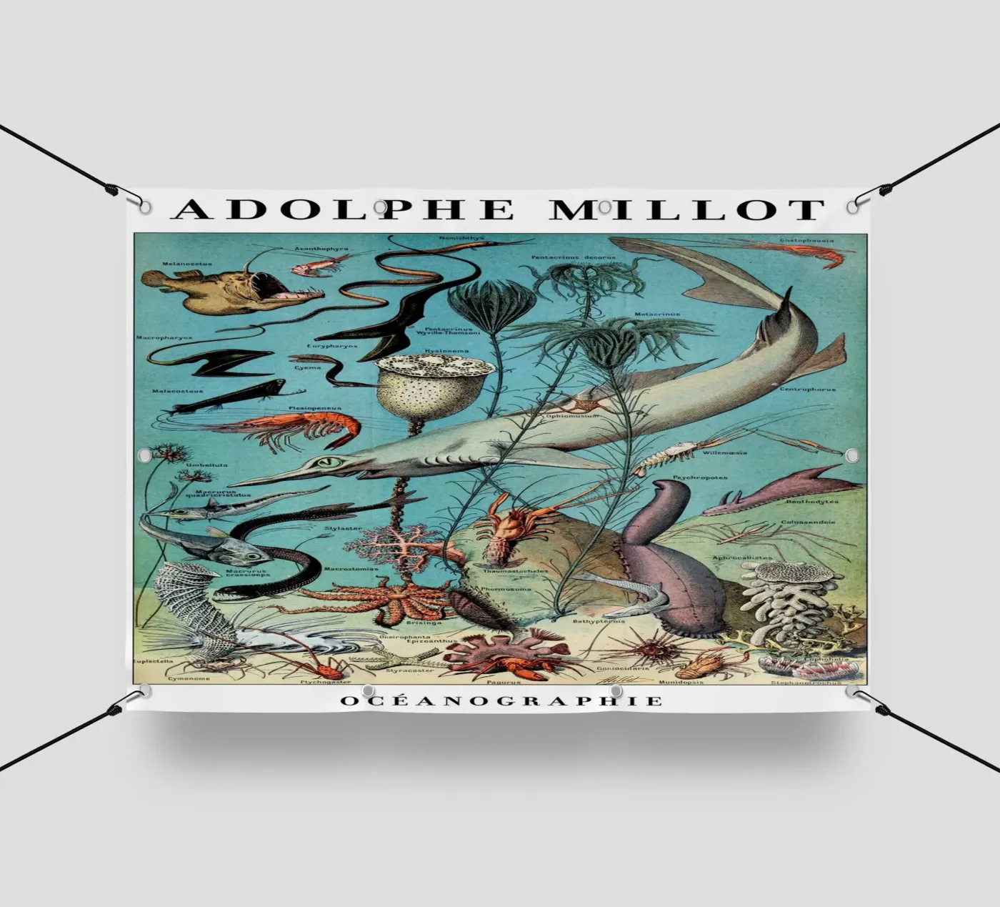 Oceanography bâche pvc de Rob Lewis