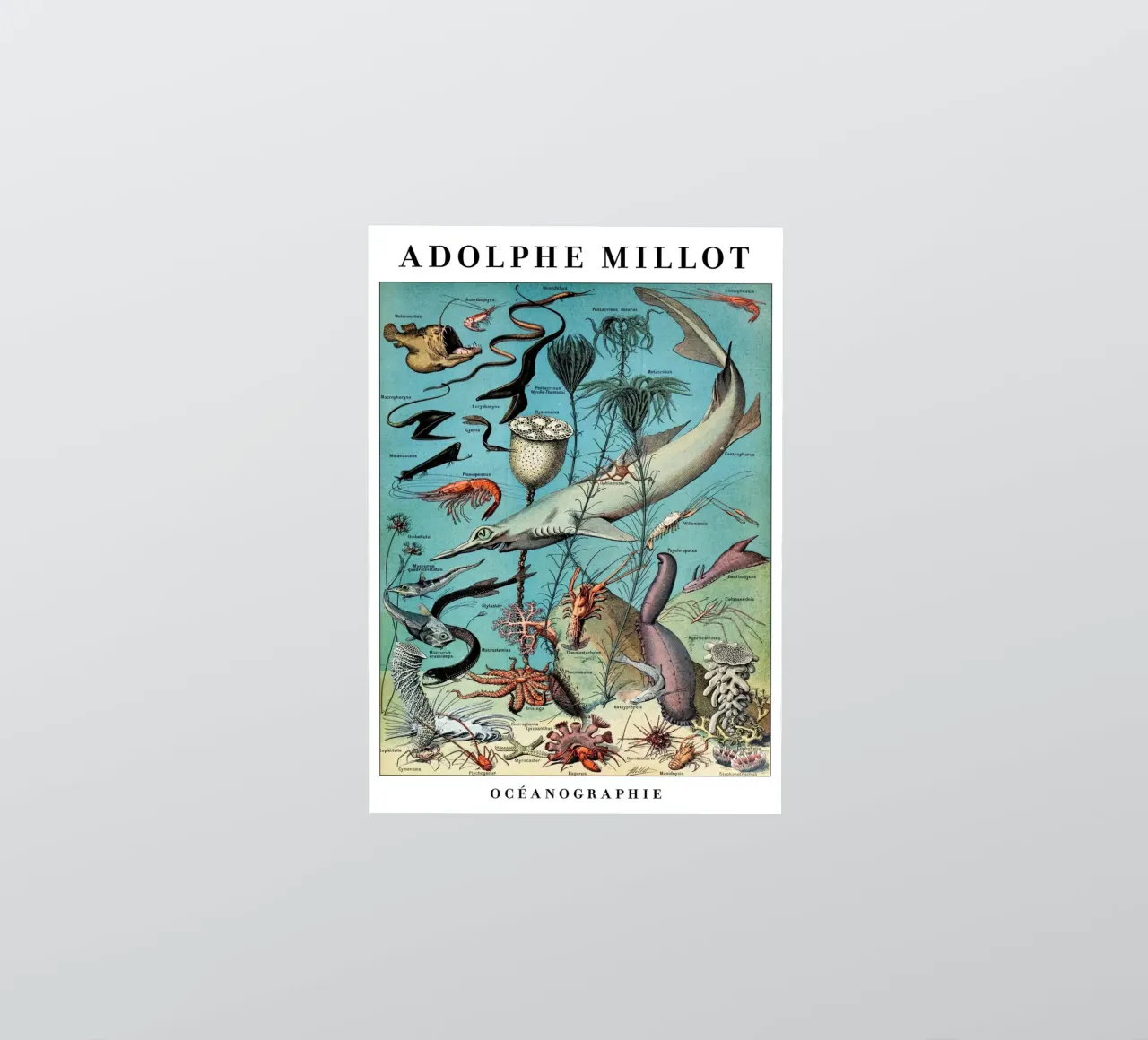 Oceanography sticker by Rob Lewis