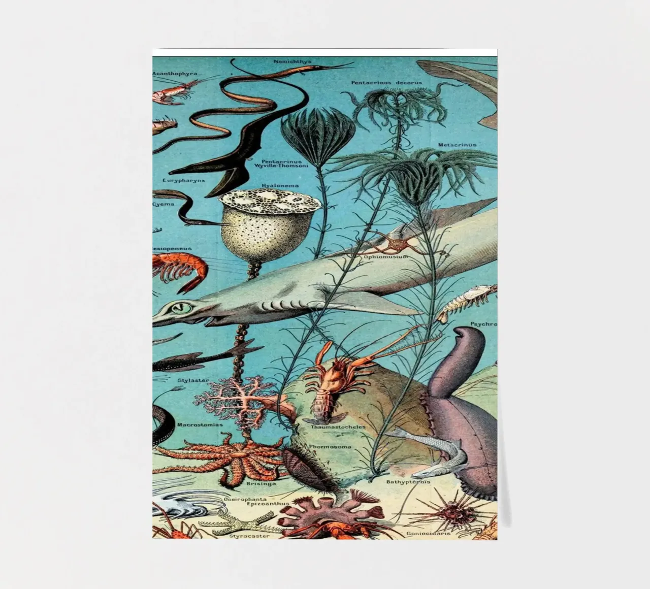 Oceanography sticker sheet by Rob Lewis