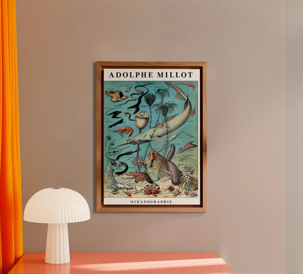 Oceanography forex plate by Rob Lewis