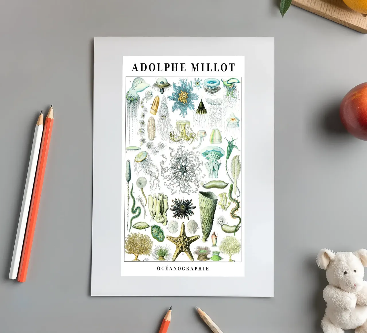 Oceanography I sticker sheet by Rob Lewis