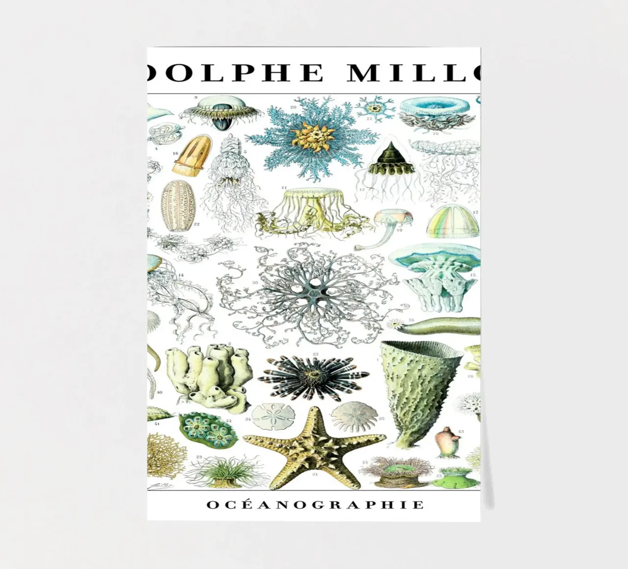 Oceanography I sticker sheet by Rob Lewis