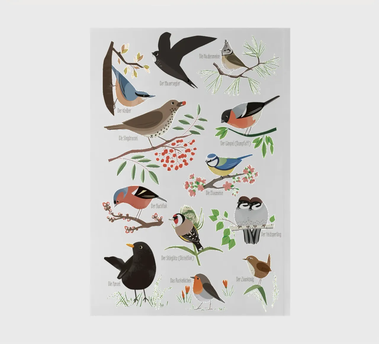 Native birds notebook by VIERUNDFÜNFZIG