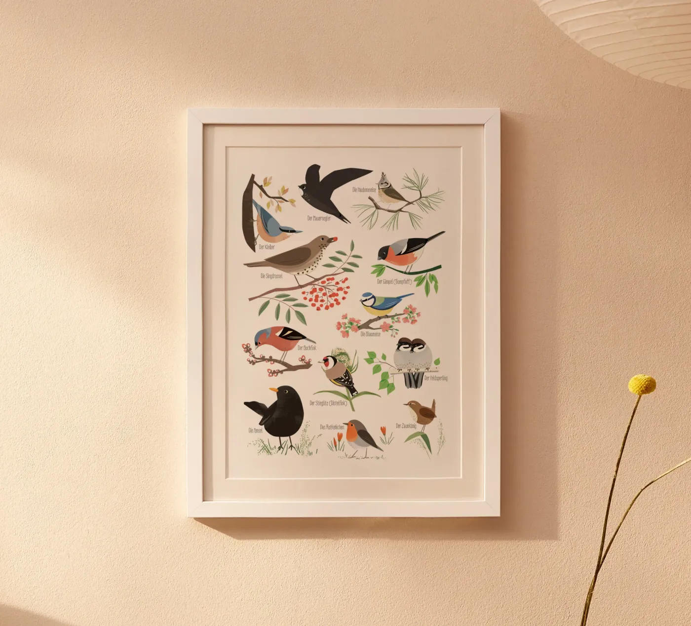 Native birds poster by VIERUNDFÜNFZIG