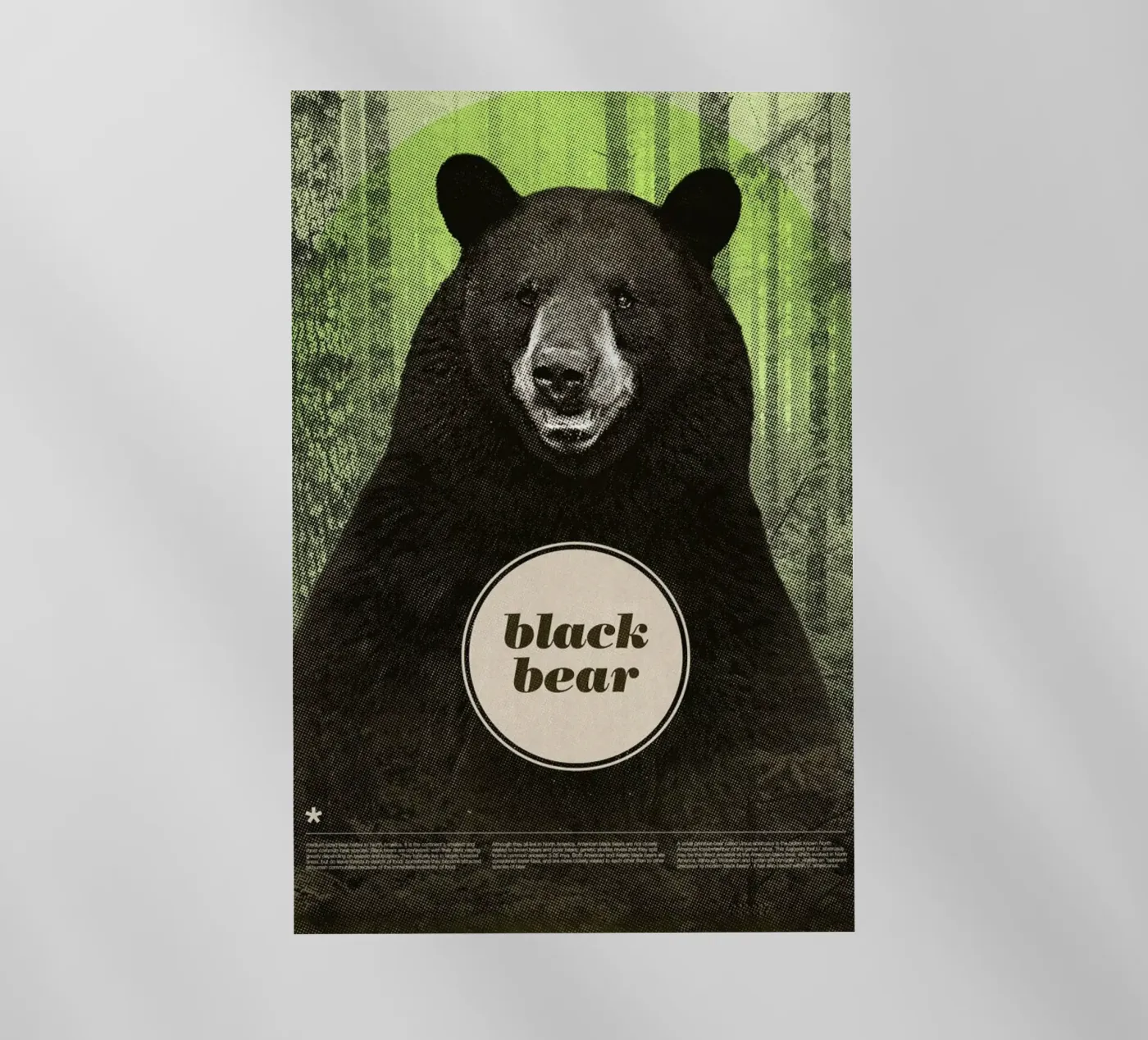 Black Bear pellicola backlit da Chase Kunz