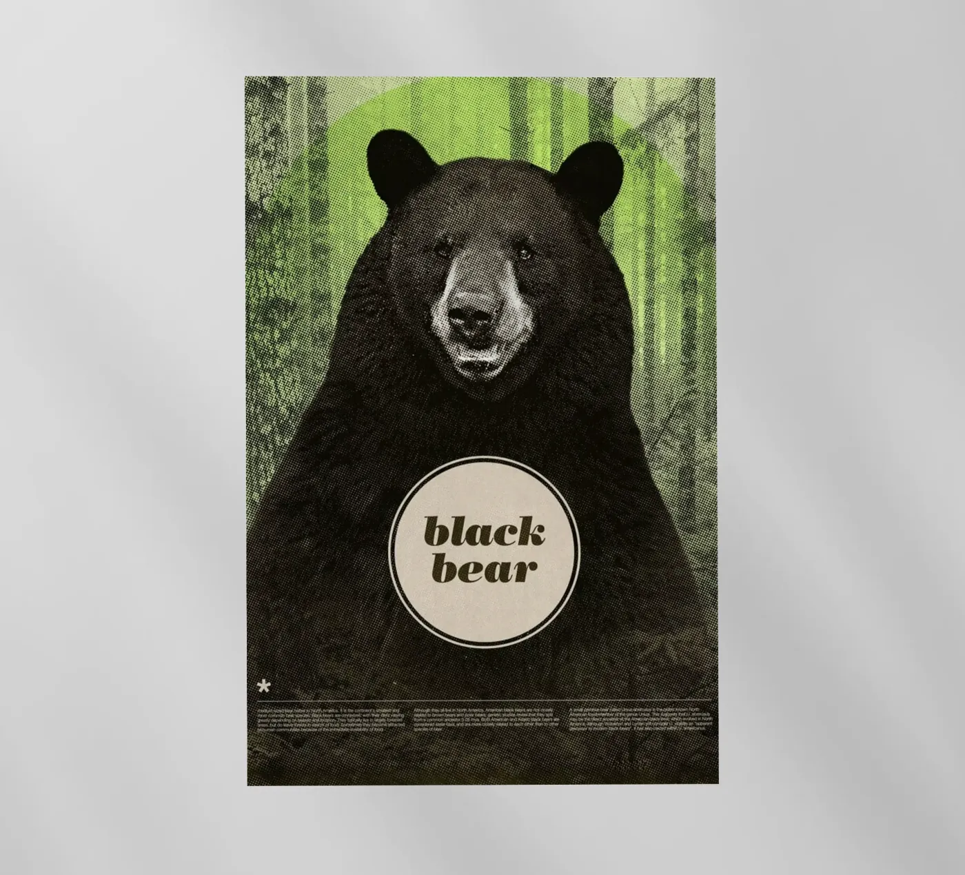 Black Bear backlit folie van Chase Kunz