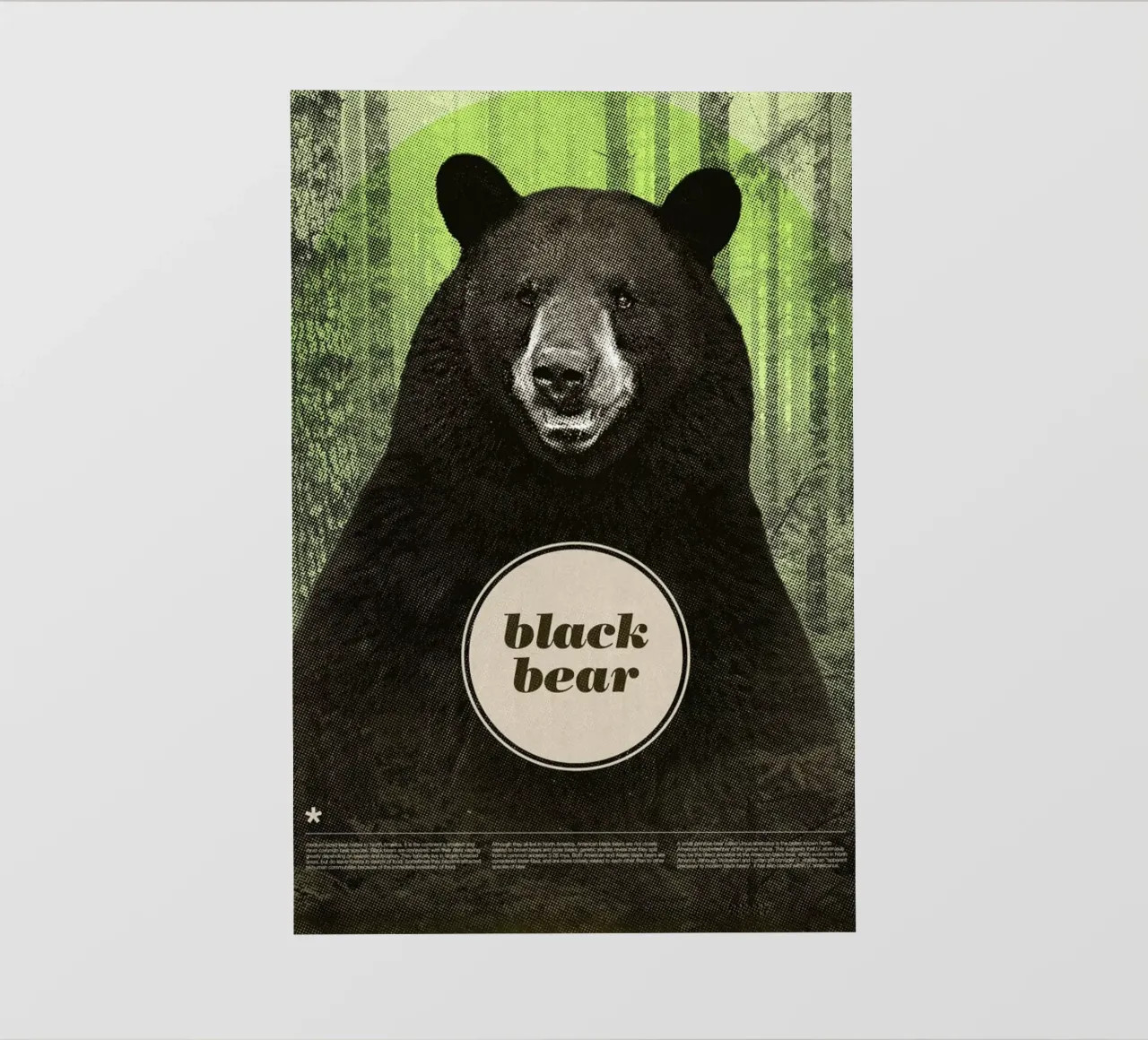 Black Bear pellicola backlit da Chase Kunz