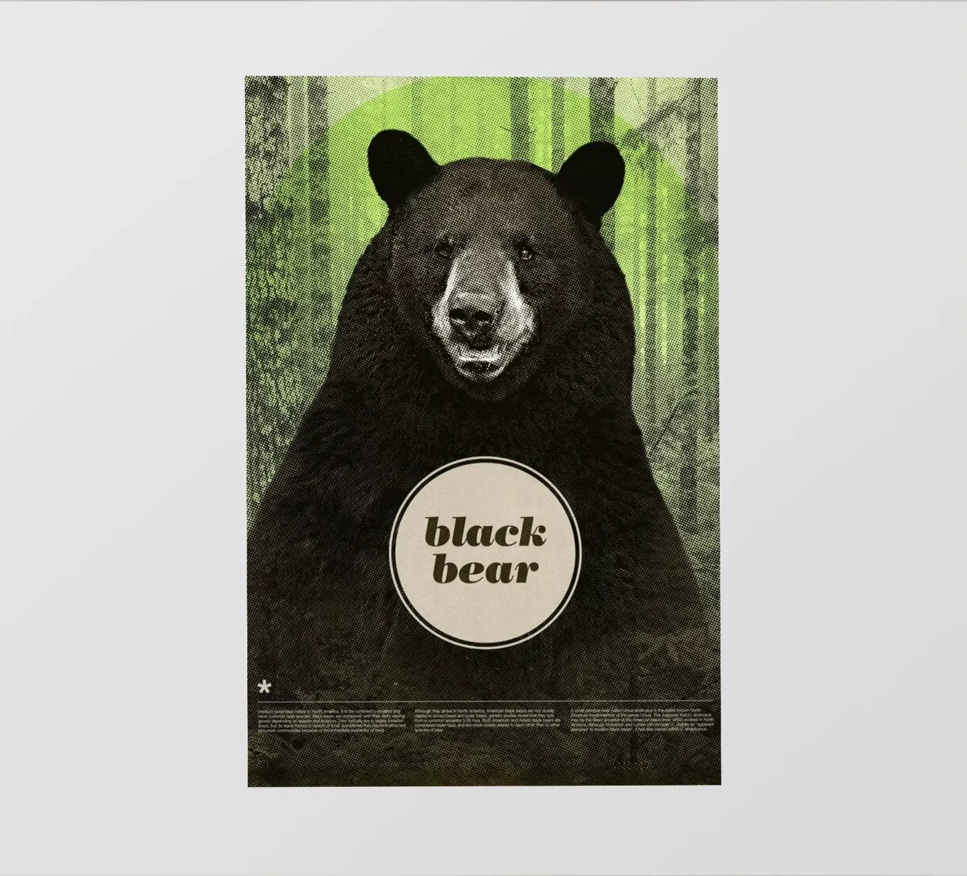 Black Bear backlit folie van Chase Kunz
