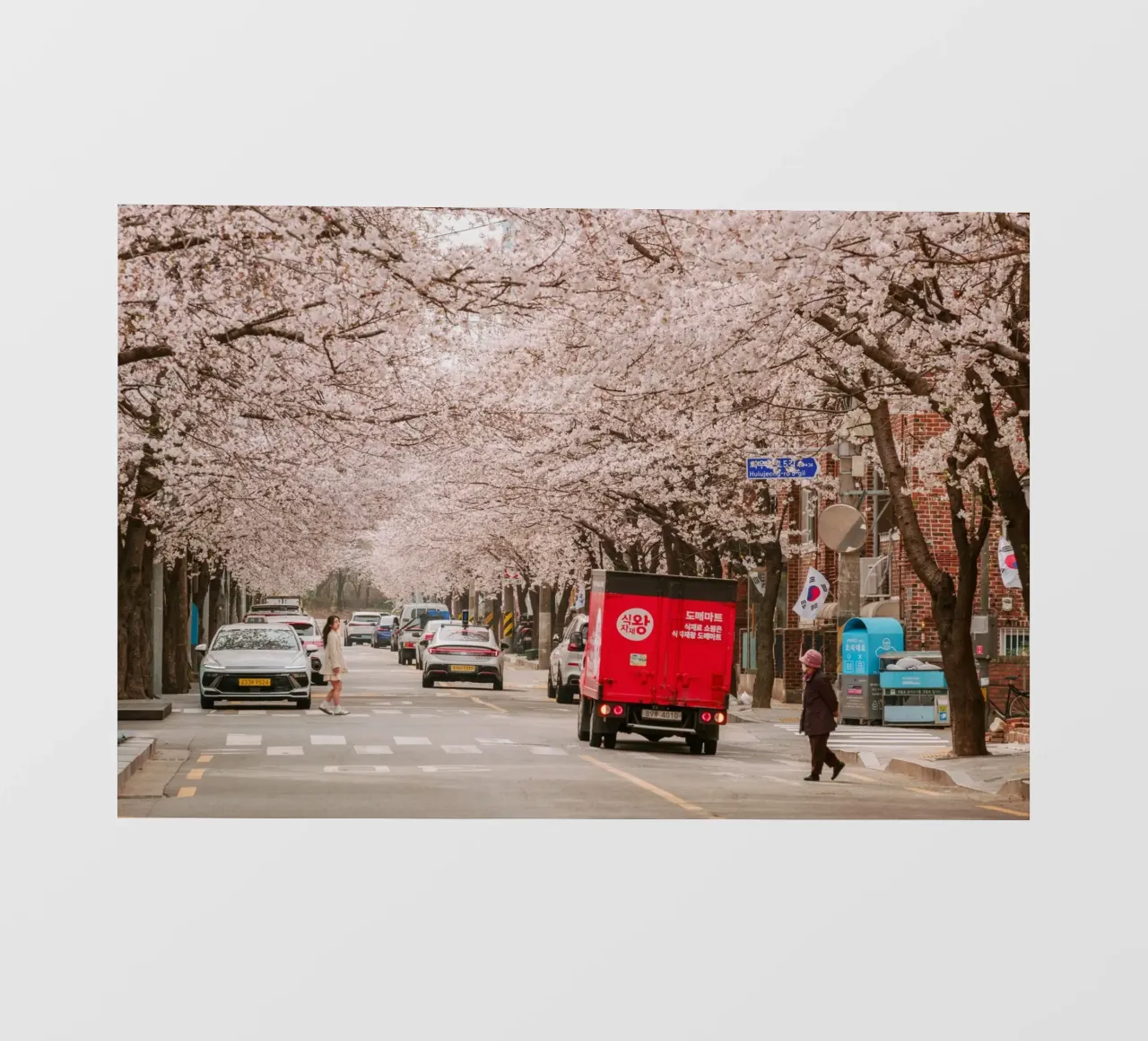 La via dei ciliegi in fiore a Seul, Corea del Sud telo in pvc da mbgraphx2