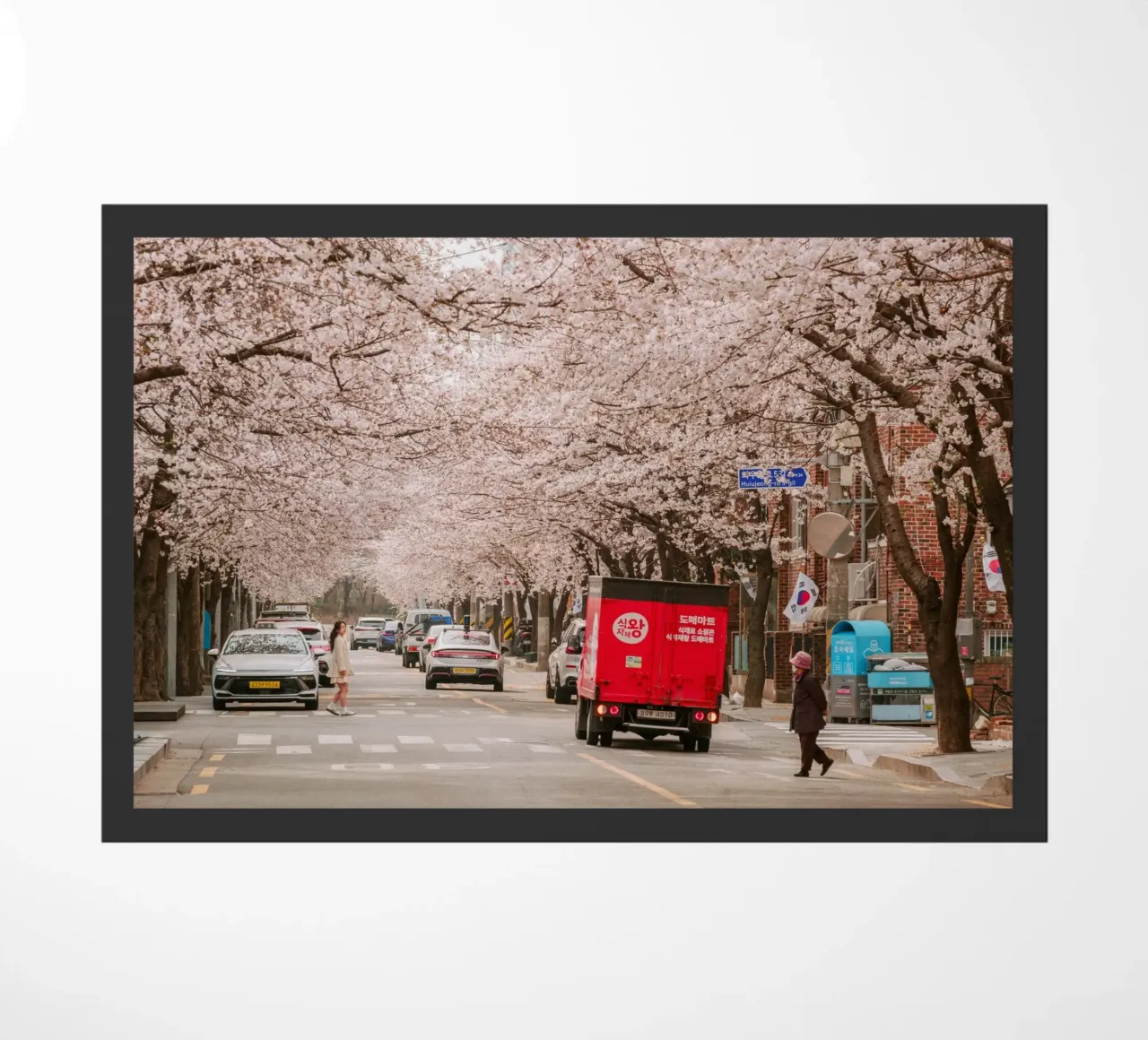La via dei ciliegi in fiore a Seul, Corea del Sud zerbino da mbgraphx2