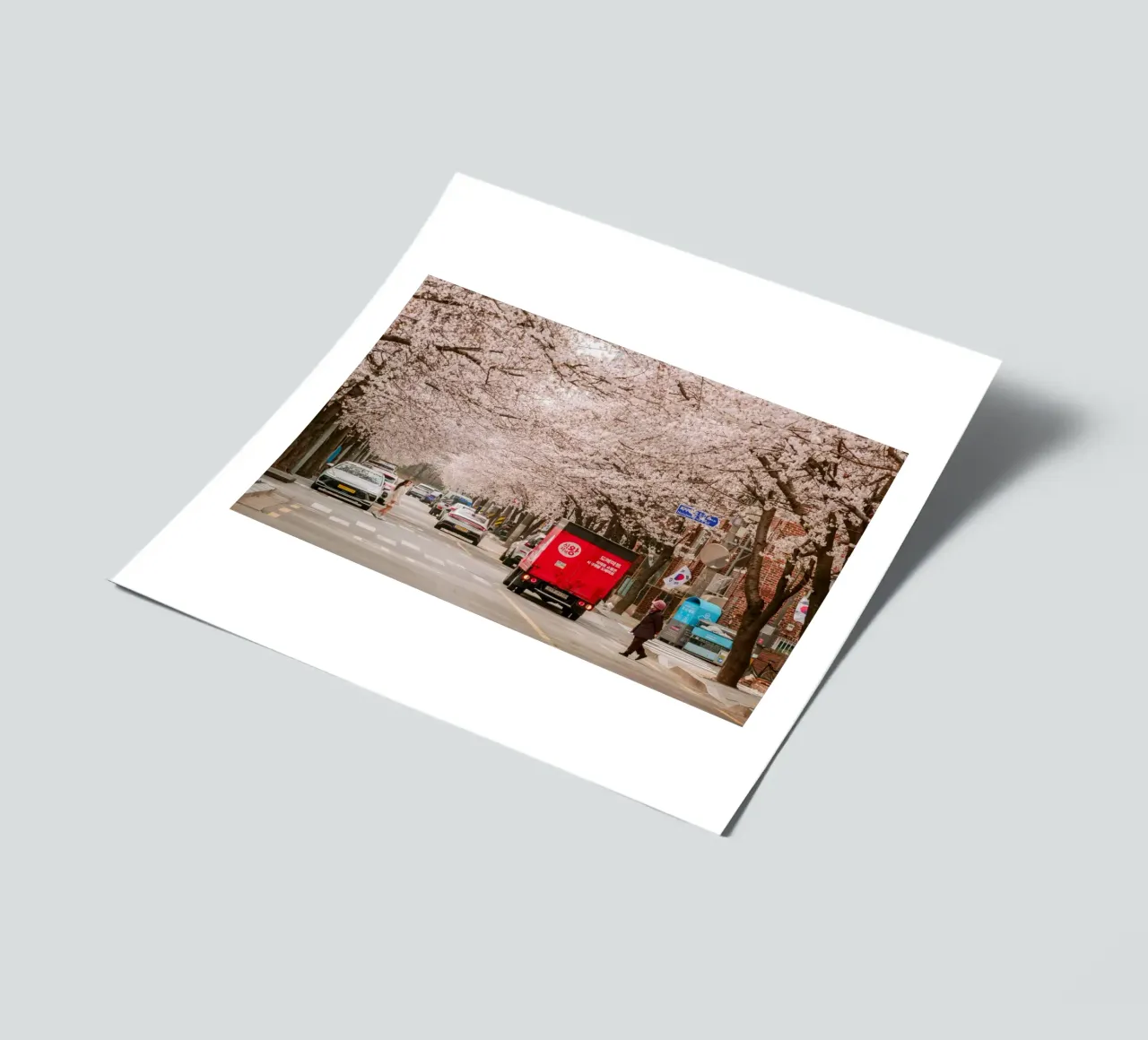 La via dei ciliegi in fiore a Seul, Corea del Sud foglio adesivo da mbgraphx2