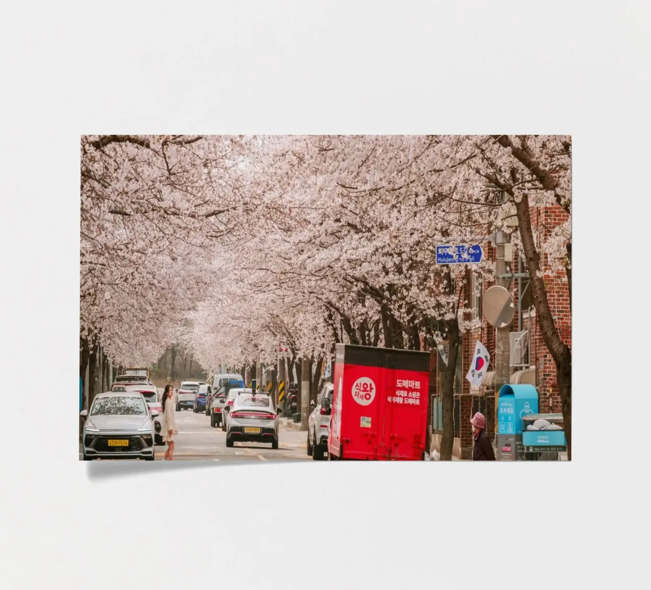 La via dei ciliegi in fiore a Seul, Corea del Sud foglio adesivo da mbgraphx2