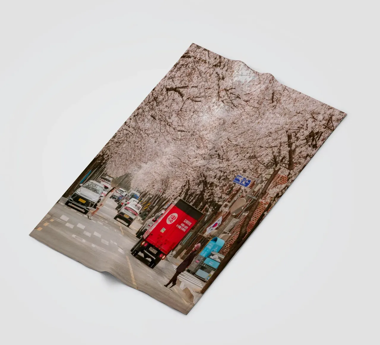 La via dei ciliegi in fiore a Seul, Corea del Sud coperta in pile da mbgraphx2