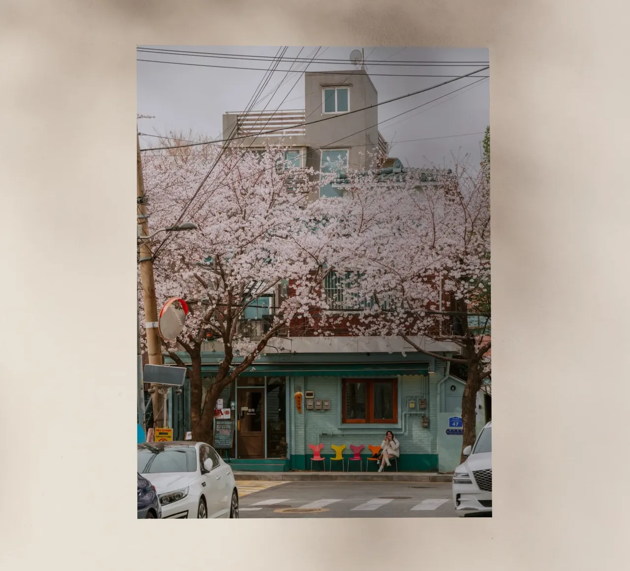 Il Cherry Blossom Café di Seul, Corea del Sud pellicola backlit da mbgraphx2