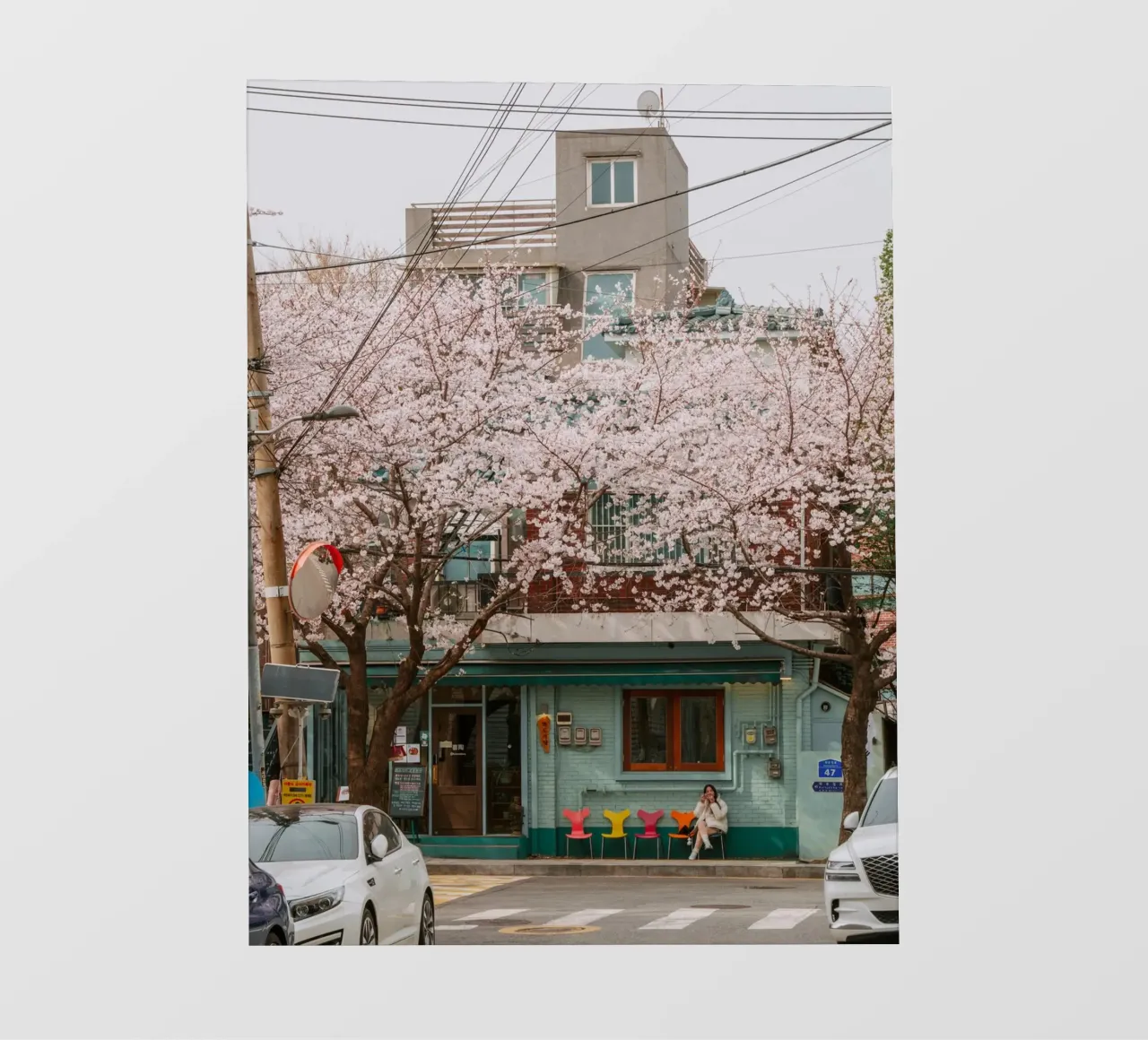 Il Cherry Blossom Café di Seul, Corea del Sud pellicola backlit da mbgraphx2