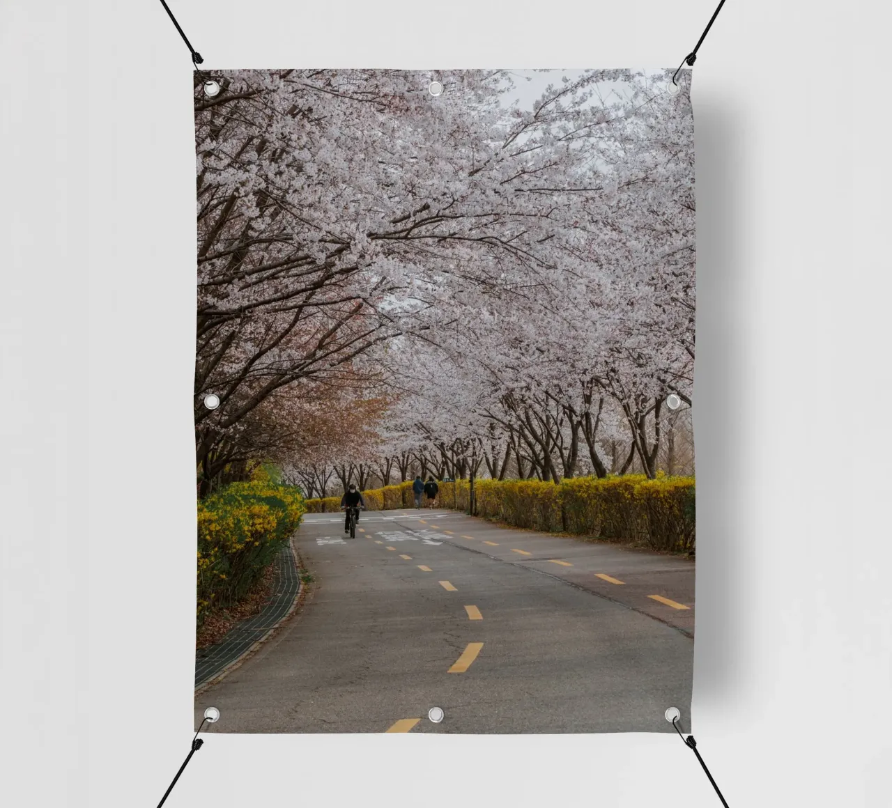 Fiori di ciliegio al Parco Haneul di Seul, Corea del Sud telo in pvc da mbgraphx2