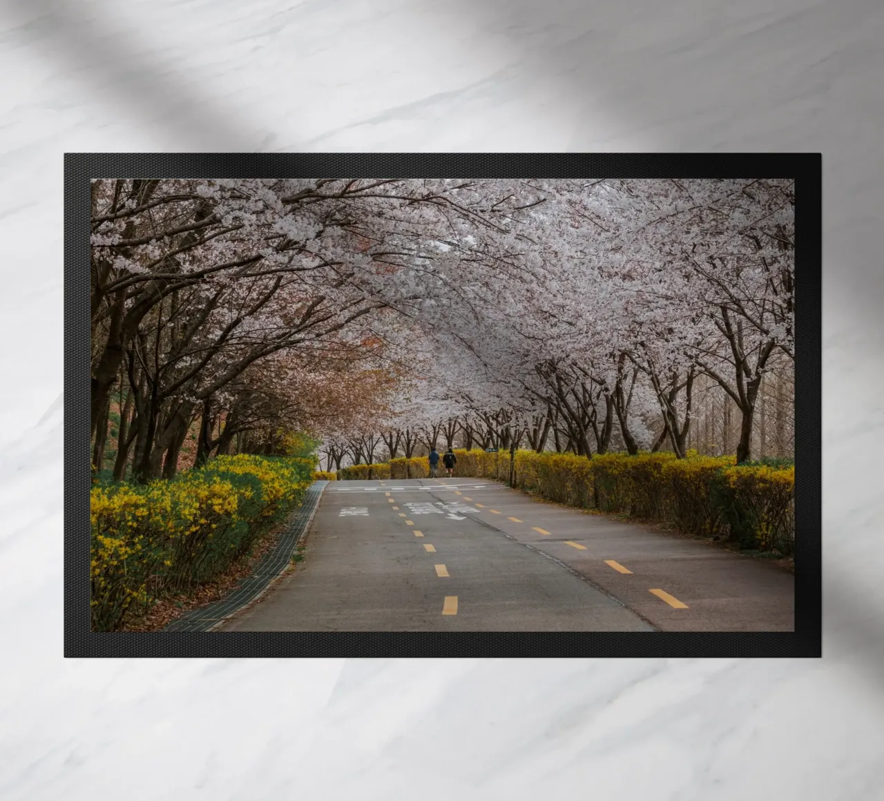 Fiori di ciliegio al Parco Haneul di Seul, Corea del Sud zerbino da mbgraphx2