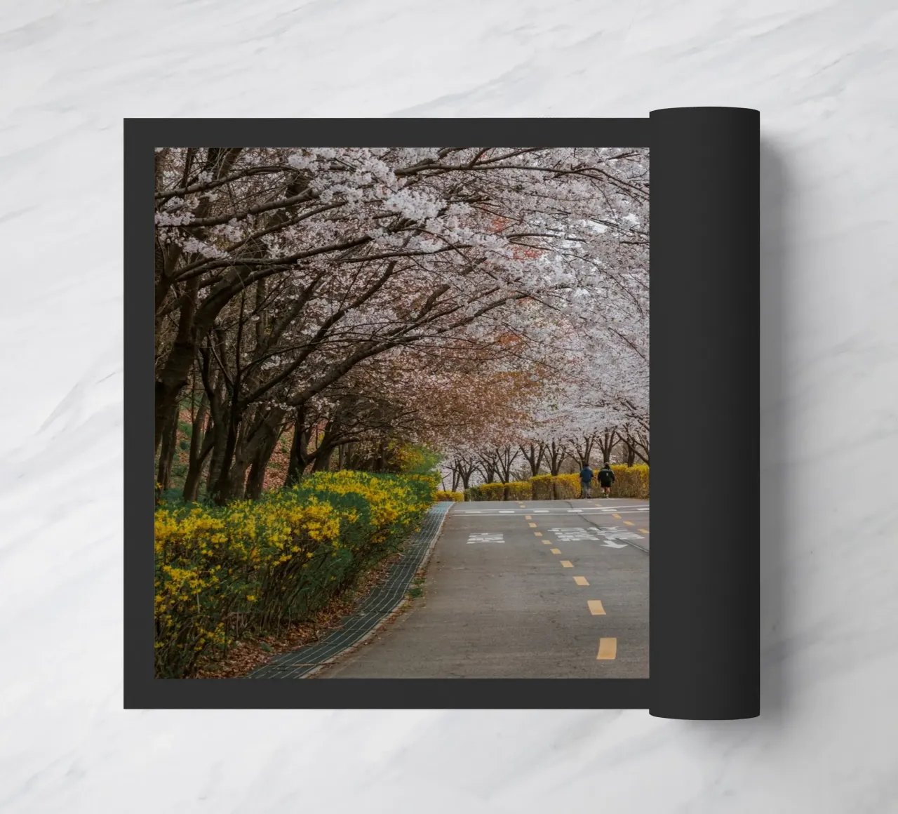 Fiori di ciliegio al Parco Haneul di Seul, Corea del Sud zerbino da mbgraphx2