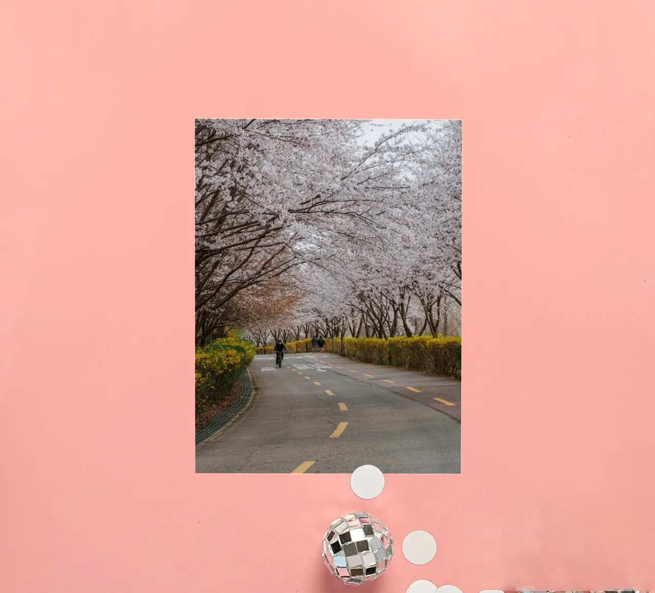 Fiori di ciliegio al Parco Haneul di Seul, Corea del Sud adesivo da mbgraphx2