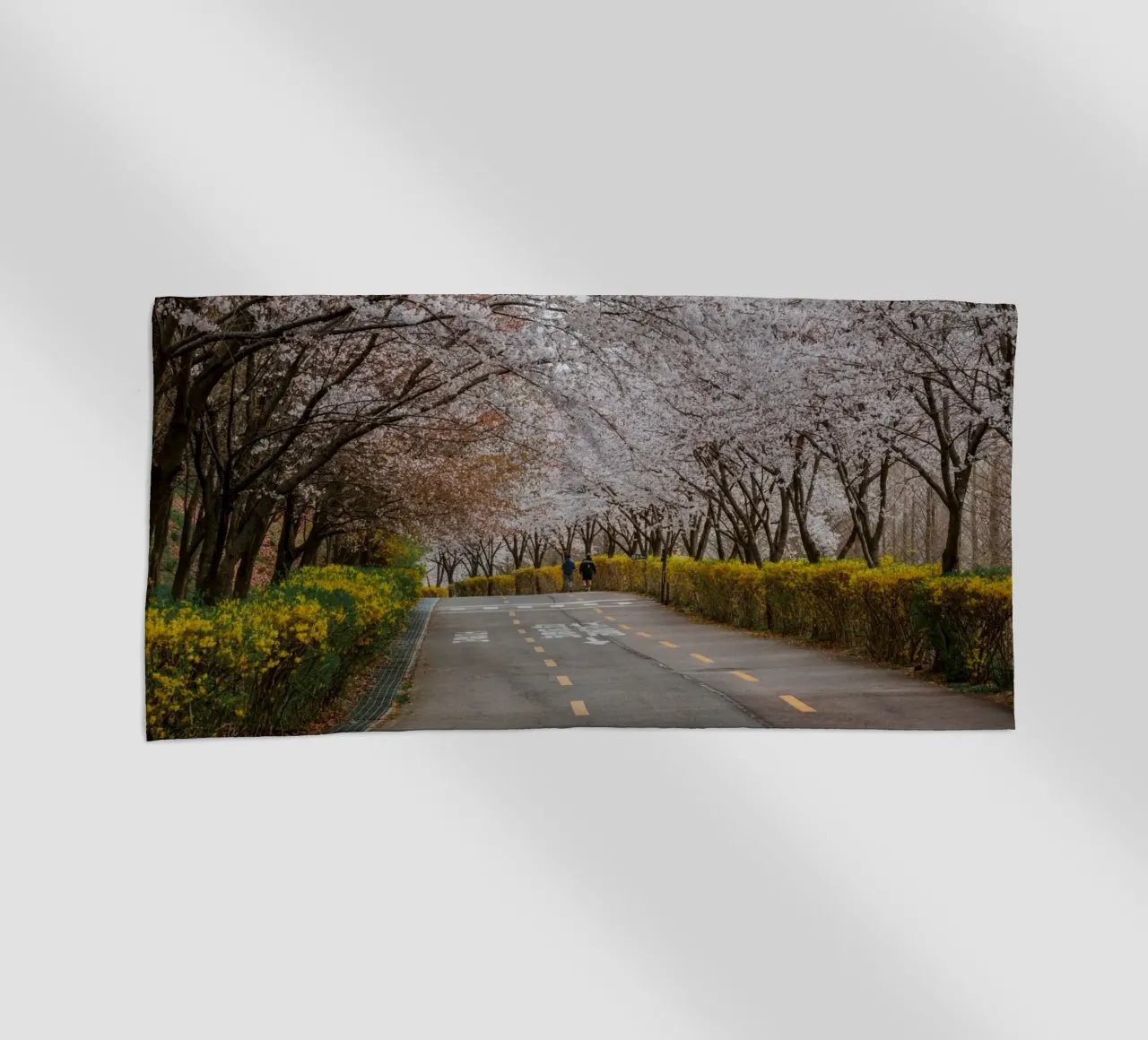 Fiori di ciliegio al Parco Haneul di Seul, Corea del Sud telo mare da mbgraphx2