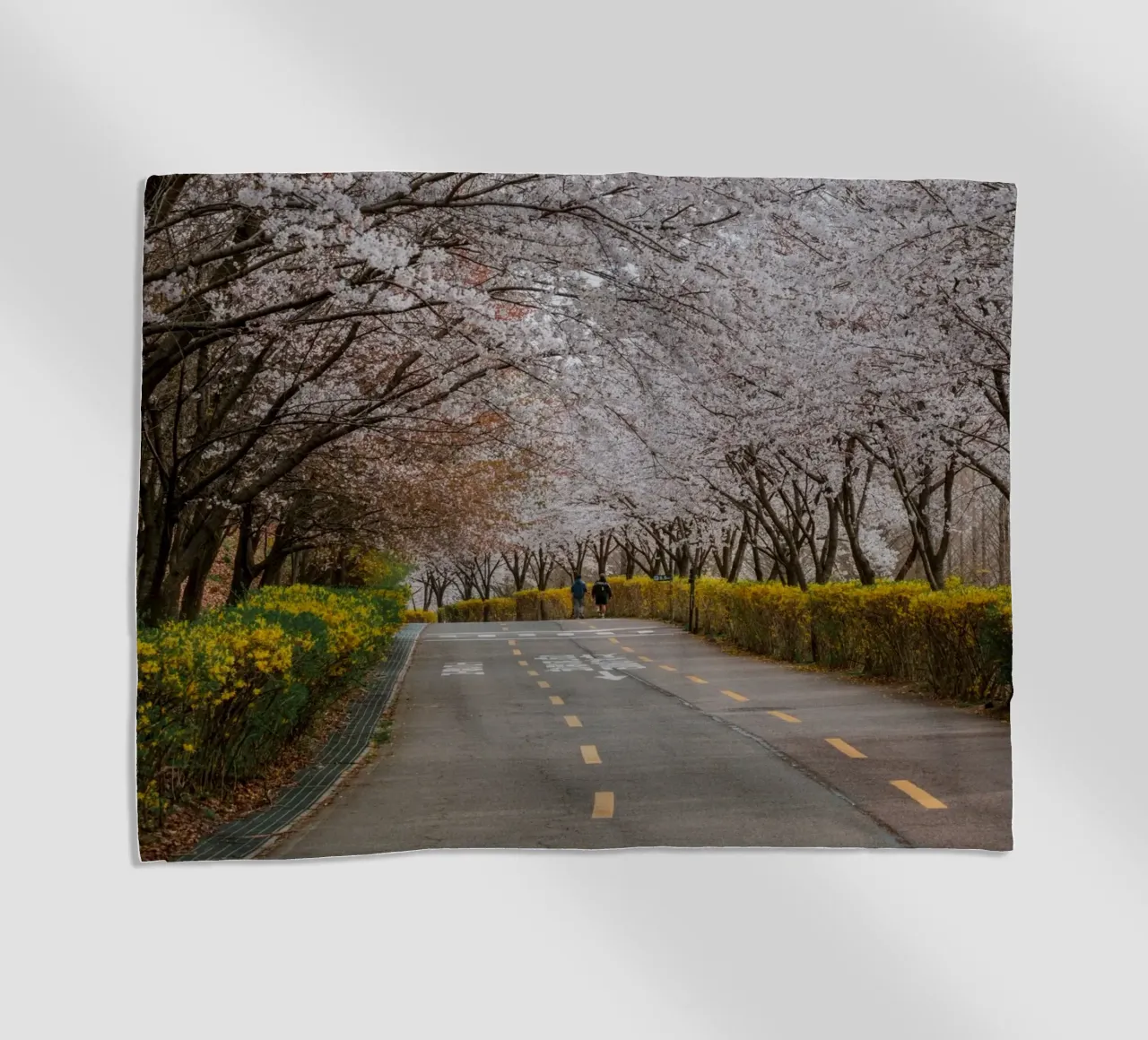 Fiori di ciliegio al Parco Haneul di Seul, Corea del Sud telo mare da mbgraphx2