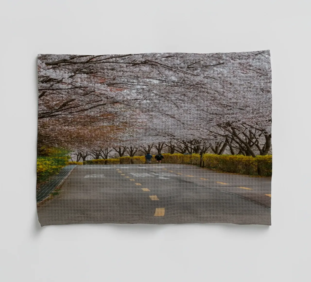 Fiori di ciliegio al Parco Haneul di Seul, Corea del Sud canovaccio da cucina da mbgraphx2